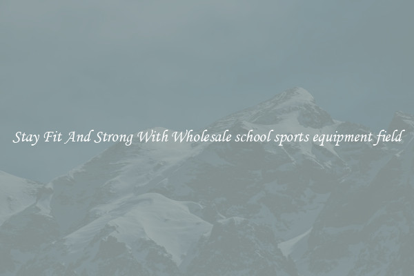 Stay Fit And Strong With Wholesale school sports equipment field