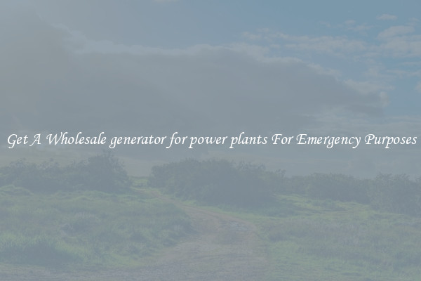 Get A Wholesale generator for power plants For Emergency Purposes