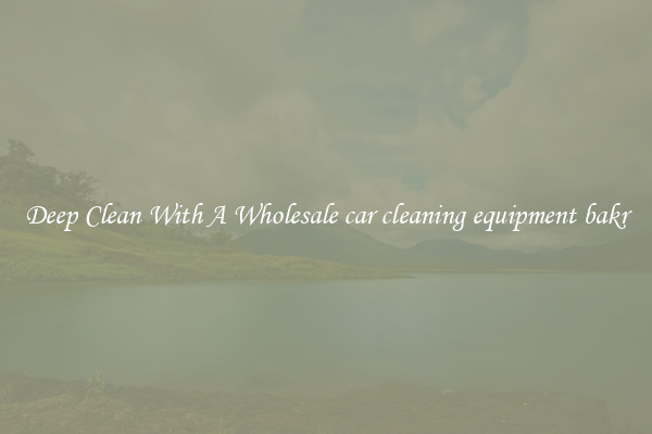 Deep Clean With A Wholesale car cleaning equipment bakr