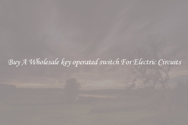 Buy A Wholesale key operated switch For Electric Circuits
