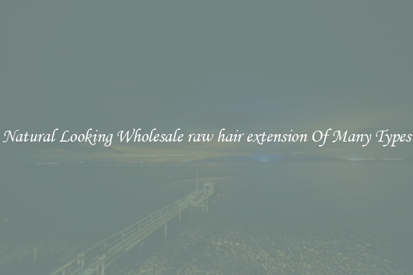 Natural Looking Wholesale raw hair extension Of Many Types