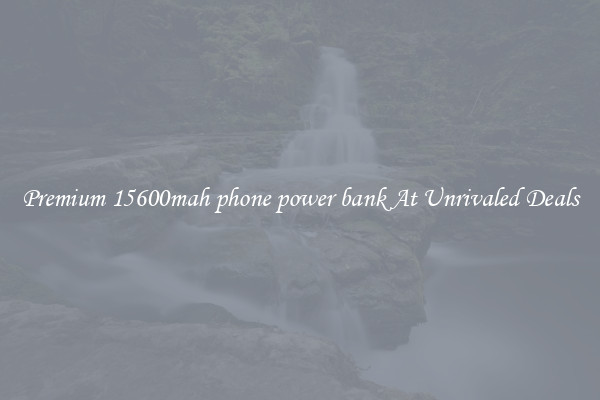 Premium 15600mah phone power bank At Unrivaled Deals