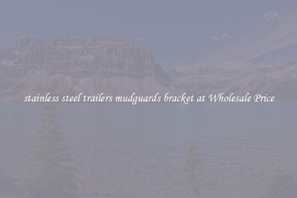 stainless steel trailers mudguards bracket at Wholesale Price