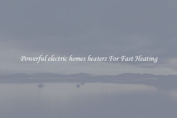 Powerful electric homes heaters For Fast Heating