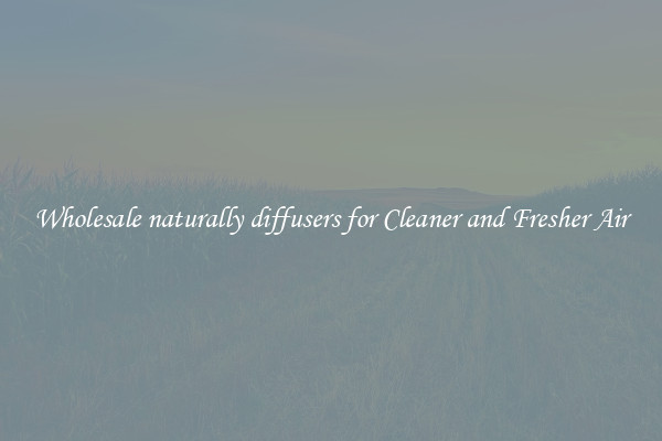 Wholesale naturally diffusers for Cleaner and Fresher Air