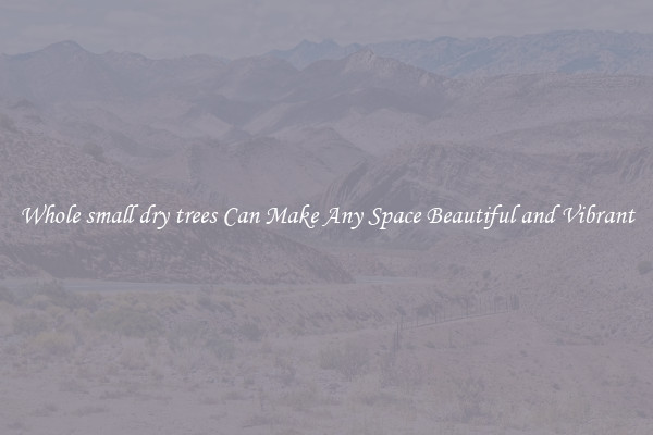 Whole small dry trees Can Make Any Space Beautiful and Vibrant