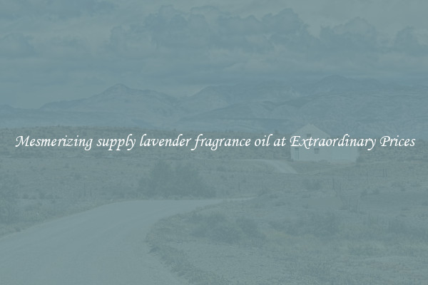 Mesmerizing supply lavender fragrance oil at Extraordinary Prices