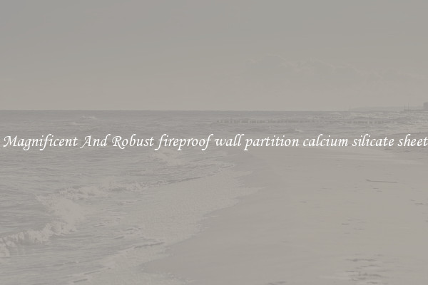 Magnificent And Robust fireproof wall partition calcium silicate sheet