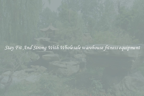 Stay Fit And Strong With Wholesale warehouse fitness equipment