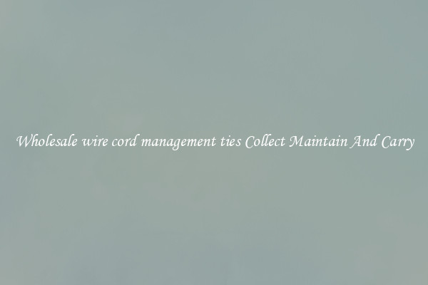 Wholesale wire cord management ties Collect Maintain And Carry