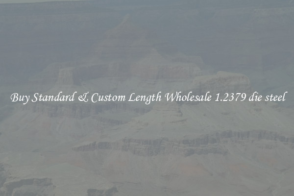 Buy Standard & Custom Length Wholesale 1.2379 die steel