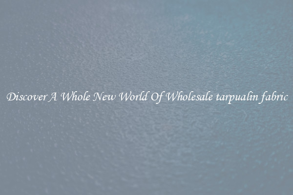 Discover A Whole New World Of Wholesale tarpualin fabric