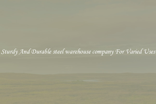 Sturdy And Durable steel warehouse company For Varied Uses
