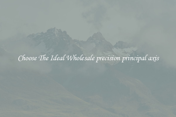 Choose The Ideal Wholesale precision principal axis